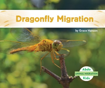 Dragonfly Migration Online