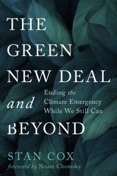 The Green New Deal and Beyond Online Hot Sale