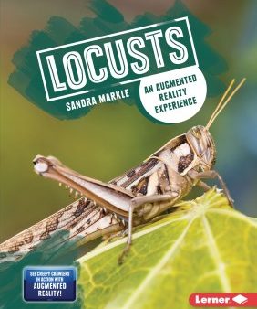 Locusts Sale