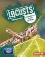 Locusts Sale