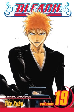 Bleach Vol 19 For Discount